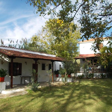 Villa Mina Potistika Bagian luar foto