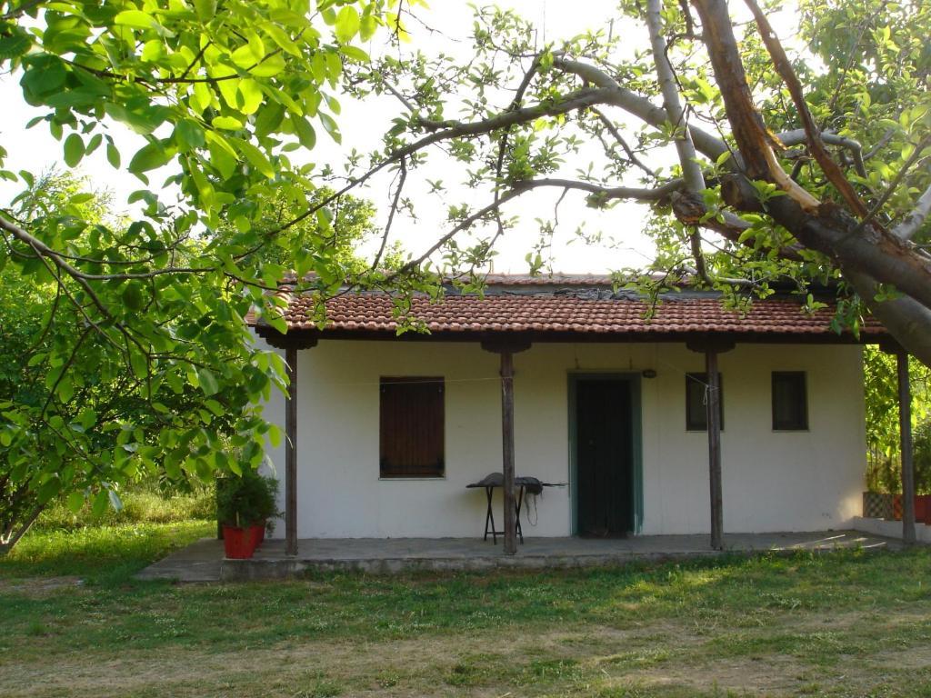 Villa Mina Potistika Bagian luar foto